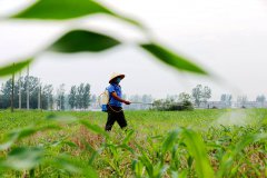 ʢ��ʱ�����æ