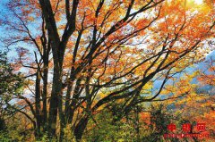 ������Ϫ��������̬��ҵ������ ������ɫ��չЭ����