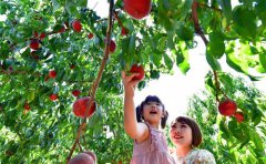 ��ɽ������ũ��̬԰