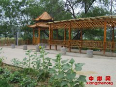 �����Ļ��Ŵ� �����Է������ž�