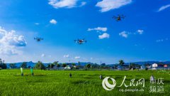 ��ƽ��ֲ�����˻�����ˮ�����溦