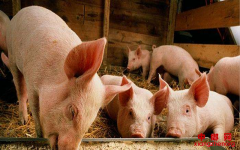 ũҵũ�岿����֪ͨҪ�������������������Ϊ