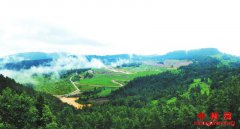 ���ݣ�������˼���ͨ������