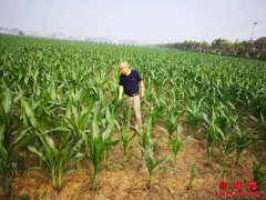 �����������磺����ʽ��ѵ�¸��¼���