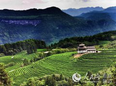 ��¡����ɽ�����Ե������԰ ����ӭ��2����