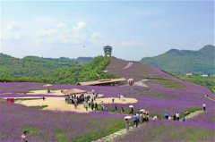 �߽�����ͩ�� ����������