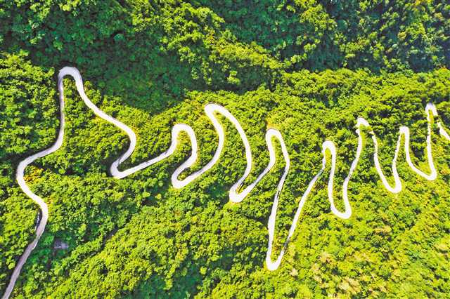 ��ƶ·�ɾ���