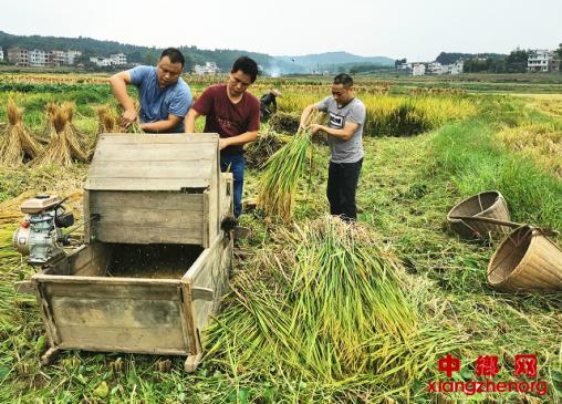 �����������г��ල�����ּ��С���ͬ����ʵ�����ϰ��ո�ʵ����