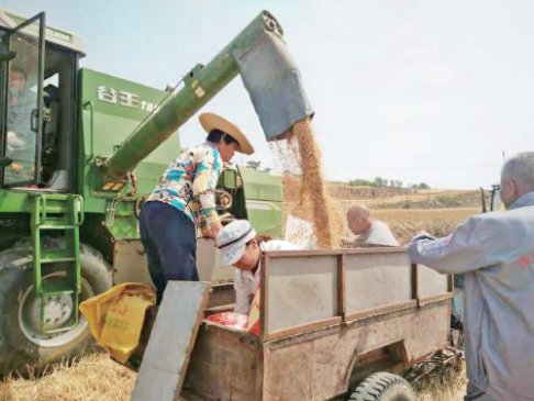 �������йܡ�����ִ�ũҵ��������ɽ��ʡũҵ��ữ�������