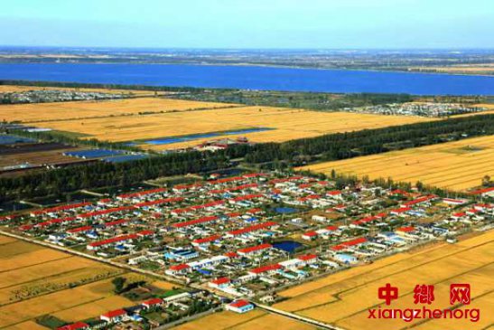 2019�й����̽�������˲�ҵ�����Ὣ�ٰ�