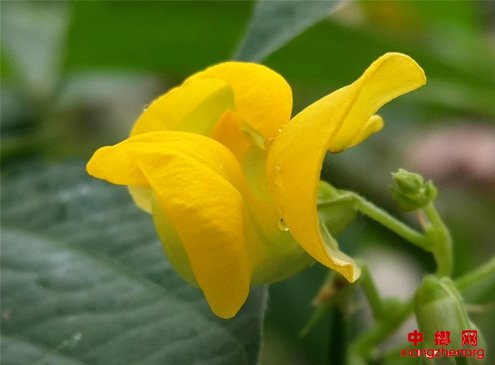 ɽ��۰�ǣ��ඹ����������