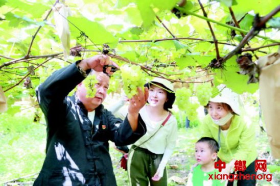 ֧�������ۺ������İ����ҵ��