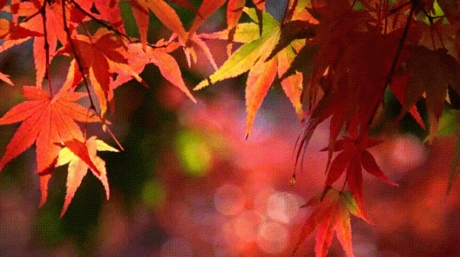 �＾�δ��Σ�������6�����������ֵ����ȥ��