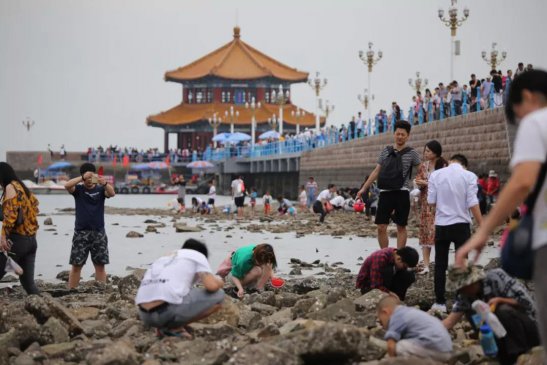 ������ڸս������������Ԥ���ѳ�¯�������������£�