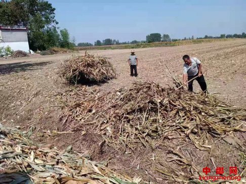 ���˽ոѱ�����