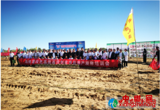 �����ؾٰ���������ɫ���ʸ�Ч������Ŀ�����Ħ��ѵ��