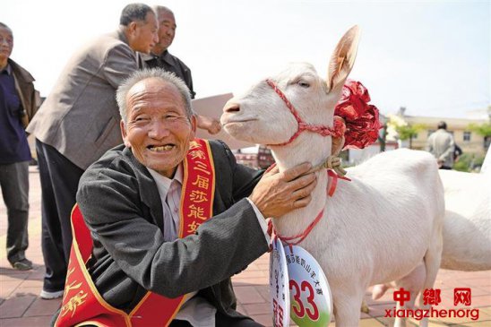 ����ǧ���ؾٰ���ɽ����� һֻ������1.7��Ԫ