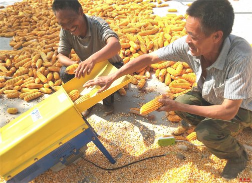 ɽ��۰�ǣ���Сũ�������ũ�񡰴��ա�