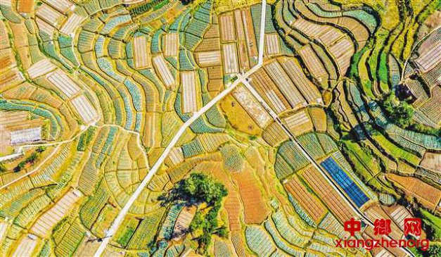 �ﲥ��������ʱ