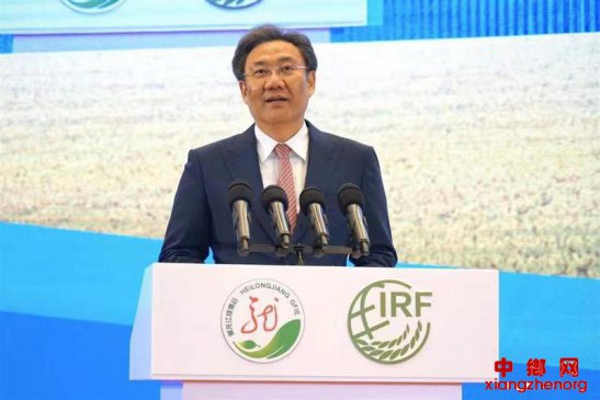 �������ٰ��̲���͹��ʴ��׽�