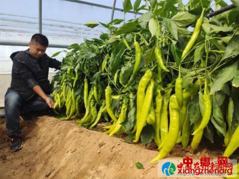 ֣����ũ���ã������������������������ɧ��