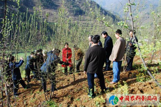 �����׺ӣ�����ȫ������Ƥľ��֮�硱�ĵ����Ӻζ�����