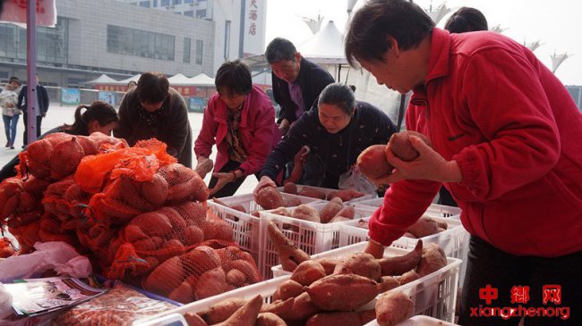 ����򣶫��չ����ƶũ��Ʒ