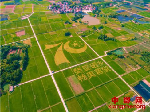 ũҵ����׼�ء��ĸ�ġ��ĳ�ģʽ��