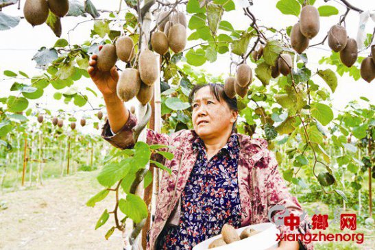 �����γǴ���԰⨺��ҷ��� Ԥ��Ķ����5000��