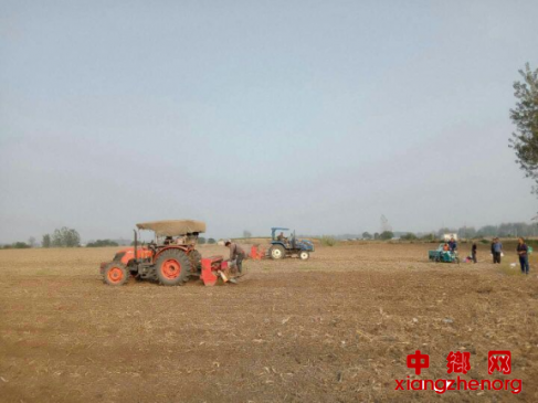 ���ո��� 򣶫����ׯ������С�������ֽ���