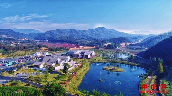 �����������塪���㽭ʡ������³�Ҵ�