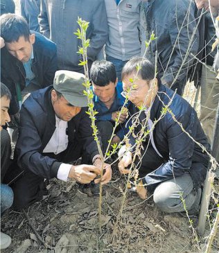 ɳ���������� Ԯ����������