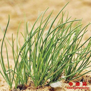 һ�����磬һ������5000Ԫ��������ɳ��Ч���