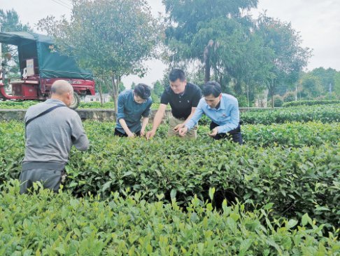 ���������ǿ���ɶ��������ݷ������԰��Ϊץ���ƶ�п�����ҵ������ǿ