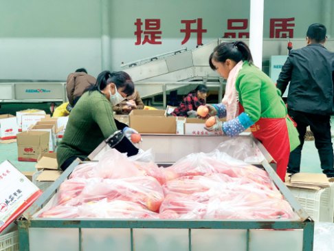 ���˼۸��ա���������ա�����������ƻ��������+�ڻ����Ե���Ŀ����