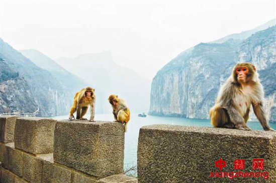 �������š�Գ���䡱