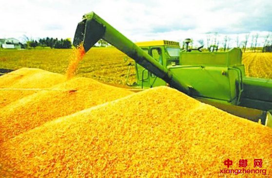 ���������������״��»� Ԥ�ƽ����������