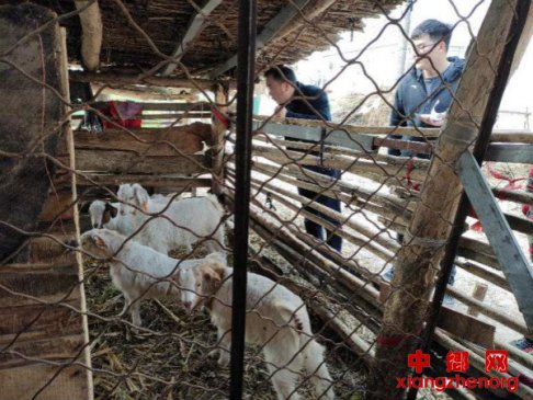 ���գ���ҵ��������ƶ