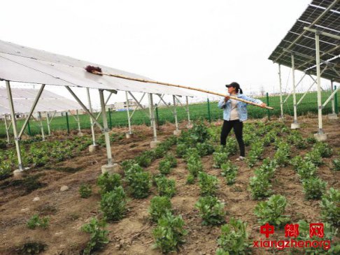 �����⡱��ҵ��ƶ������ƶ