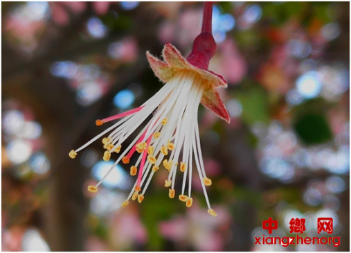 ۰�ǣ����ġ���˿��������