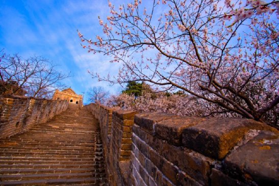 Ľ�������ǡ����ܺ��Ⱦ������ָ�����