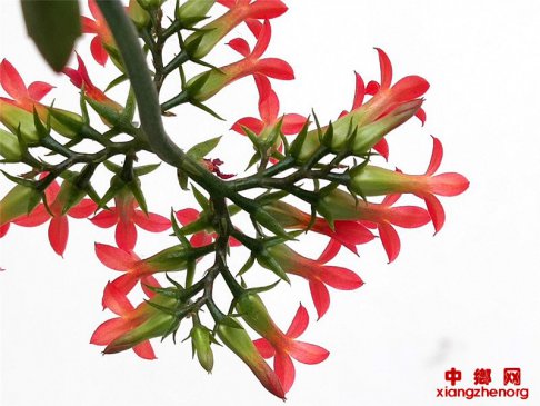 ۰�ǣ����ٻ��������Ǵ������ټ���