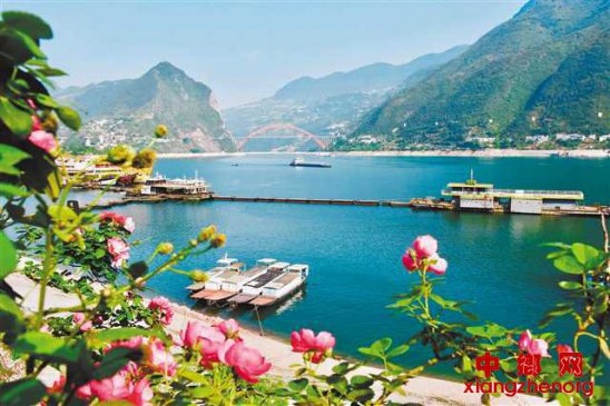 Ǿޱ����ӳ��Ͽ