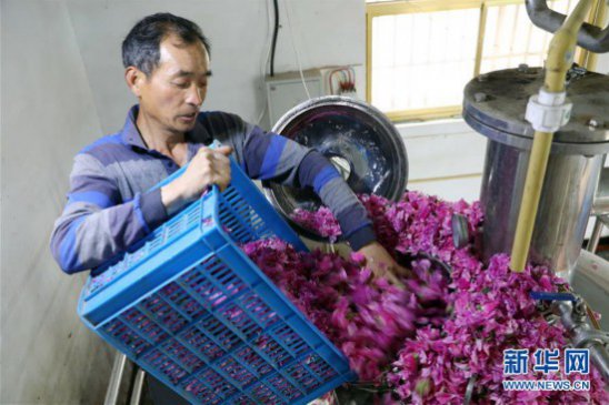 �������ݣ���õ�徭�á������������