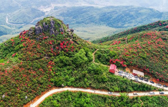 ����ɽ�ϱ�����