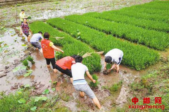 �����￪չ���⵳�ջ ����ƶ���м�����������