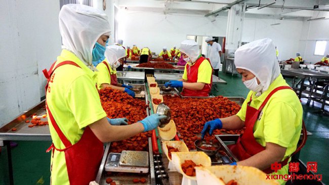 ���ֶ���϶���