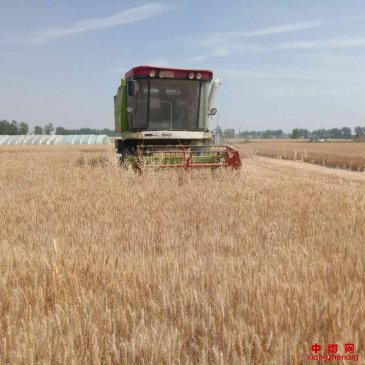 ���գ�����򣶫����ׯ��ʵЧ�ٴ����缾�ոѽ���Ӳ��