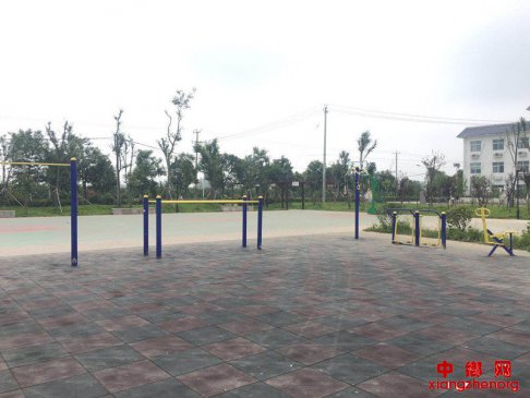 Ⱥ�ڸɲ����ĸ��˾ӻ���������