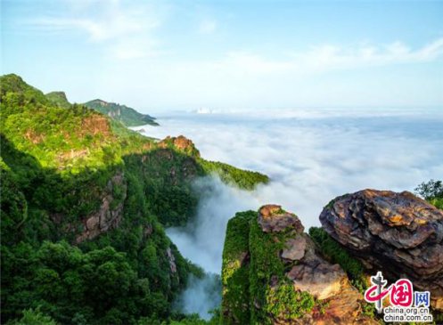 ���Ƹ���̨ɽ�ϰ񡰹���ɭ�ֿ������ء�����